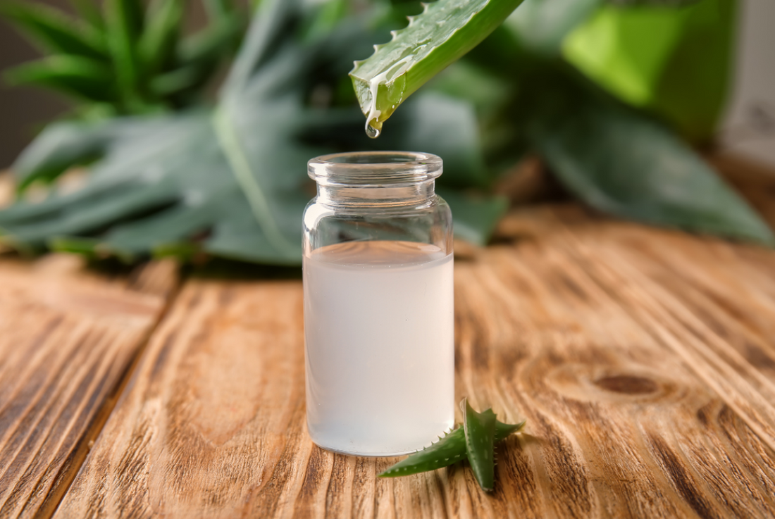 Organic Aloe Barbadensis (Aloe Vera) Juice