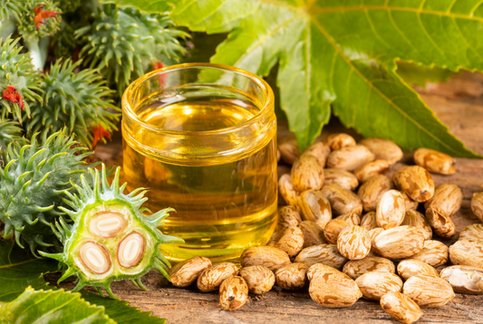 Castor Seed Oil
