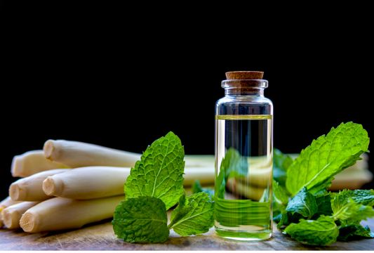 LEMONGRASS ESSENTIAL OIL