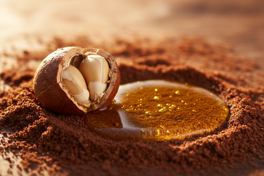 Cracked argan nut and pure argan oil, known as liquid gold for skin.