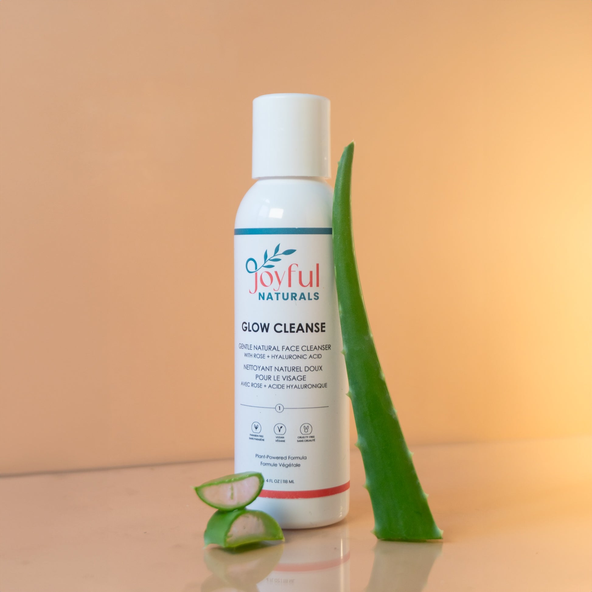 Gentle natural face cleanser bottle styled with aloe vera leaf showing hydrating ingredients.